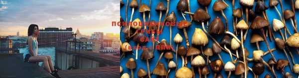 амф Лабытнанги